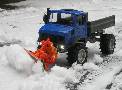 Uni_Blaubaer